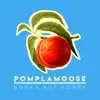 Pomplamoose - Sorry Not Sorry - Single